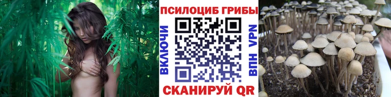 Галлюциногенные грибы мицелий  блэк спрут ONION  Домодедово 
