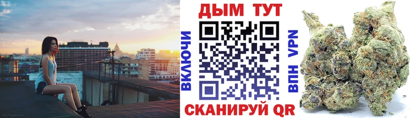 как найти Домодедово Шишки марихуана сатива